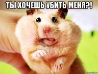 ты хочешь убить меня?! 