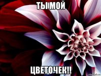 ты мой цветочек!!