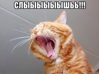 слыыыыыышьь!!! 