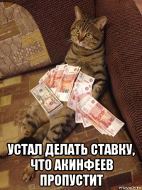  устал делать ставку, что акинфеев пропустит