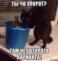 ты чо упорот? там нет второго варианта!
