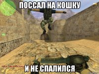 поссал на кошку и не спалился