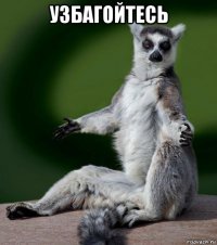 узбагойтесь 
