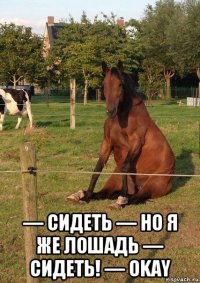  — сидеть — но я же лошадь — сидеть! — okay