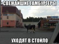свежайшие гамбургеры уходят в стойло