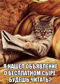  я нашел объявление о бесплатном сыре, будешь читать?