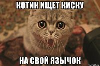 котик ищет киску на свой язычок