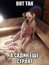 вот так а садик еще строят