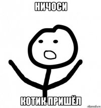 ничоси котик пришёл