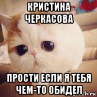 кристина черкасова прости если я тебя чем-то обидел