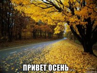  привет осень . .