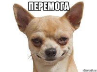 перемога 