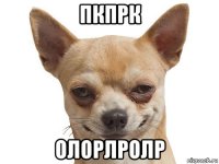 пкпрк олорлролр