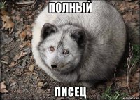 полный писец