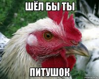 шёл бы ты питушок