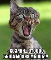  - хозяин... этоооо была мояяя мышь!!!