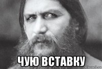  чую вставку