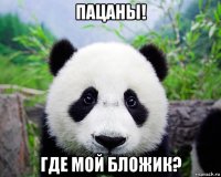 пацаны! где мой бложик?