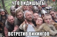 что видишь ты встретив викингов