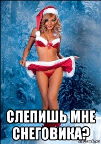  слепишь мне снеговика?