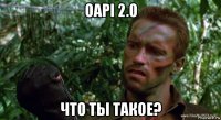 oapi 2.0 что ты такое?