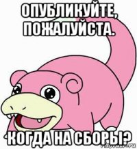 опубликуйте, пожалуйста. когда на сборы?