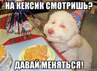 на кексик смотришь? давай меняться!
