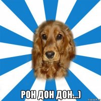 рон дон дон...)