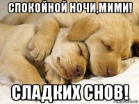 спокойной ночи,мими! сладких снов!