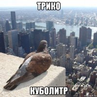 трико куболитр