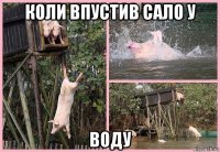 коли впустив сало у воду