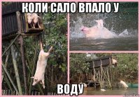 коли сало впало у воду