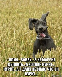  - блин... sorry... я не могу не дышать... а хозяин курит... курит... а я даже не знаю что он курит...
