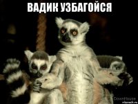 вадик узбагойся 