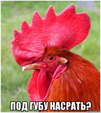  под губу насрать?