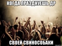когда празднуешь др своей свинособаки