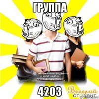 группа 4203