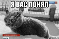 я вас понял 