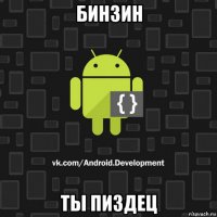 бинзин ты пиздец