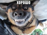 хорошо 
