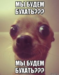 мы будем бухать??? мы будем бухать???
