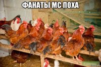 фанаты мс поха 