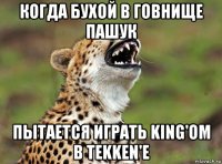 когда бухой в говнище пашук пытается играть king'ом в tekken'е