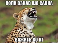 коли взнав шо савка важить 80 кг