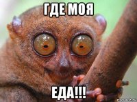 где моя еда!!!