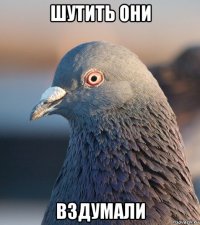 шутить они вздумали