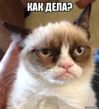 как дела? 