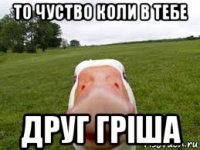 то чуство коли в тебе друг гріша