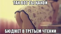 так вот ты какой бюджет в третьем чтении