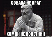 собака не враг хомяк не советник